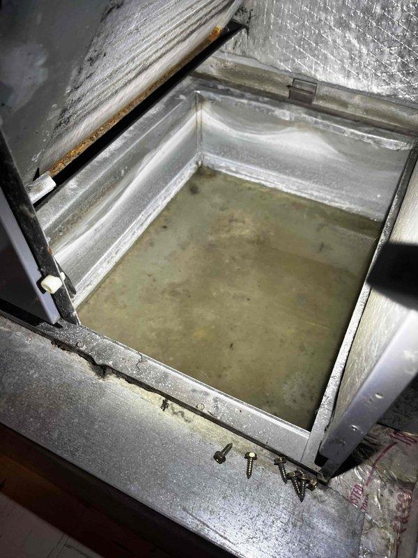 Responded to no cooling call on air handling unit. Upon arrival, found system had been shut off per dispatch instructions due to reported lack of cold air output. Performed visual inspection of indoor unit and discovered significant moisture accumulation and biological growth in condensate drain pan, indicating drainage system compromise. Observed rust formation on internal metal components and dust accumulation throughout air handler cabinet. Insulation material showed normal wear patterns consistent with system age. Documented existing conditions of condensate management system and interior components. Unit requires drain line service and cleaning to restore proper operation and prevent future drainage issues affecting cooling performance.