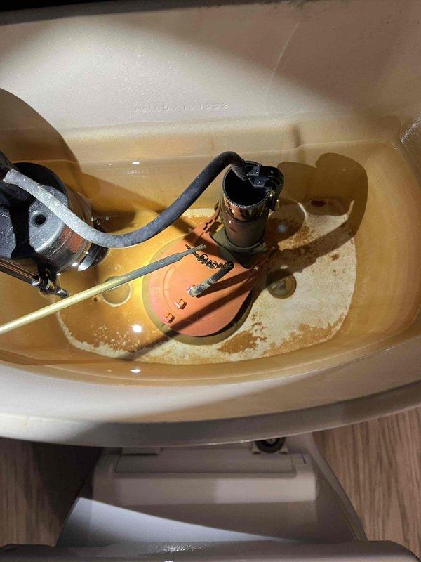 Completed prepaid club maintenance visit and performed plumbing system inspection. Examined toilet tank components and documented significant water discoloration with brownish tint and substantial mineral deposits throughout tank interior. Fill valve, flush valve assembly, and associated hardware were inspected and photographed showing functional operation but evidence of hard water conditions affecting the system. No tankless water heater present at property.