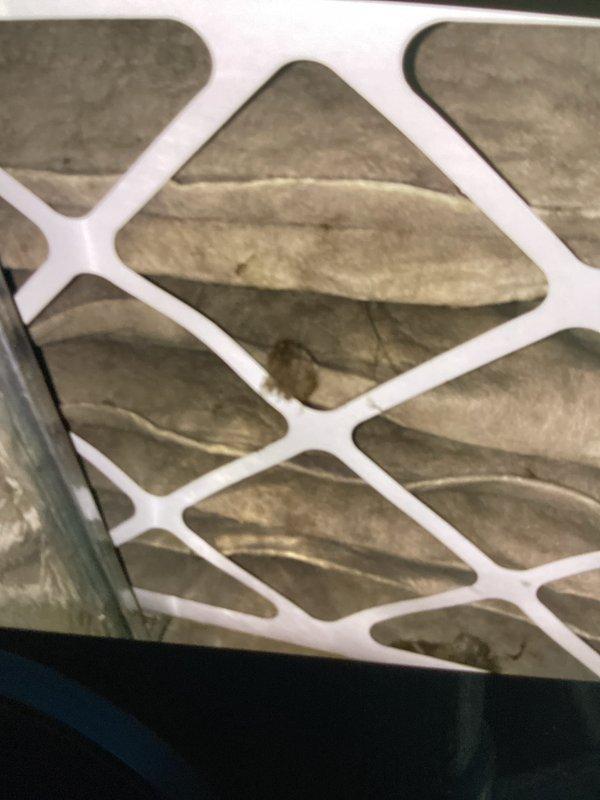 Completed preventive maintenance club visit for new homeowner requesting system tuneup. Performed thorough inspection of outdoor condensing unit, noting evaporator coil showing moderate weathering and some mineral deposits on fin surfaces but maintaining adequate airflow. Replaced dirty air filter which exhibited significant dust and particulate accumulation. System operating within normal parameters following service.