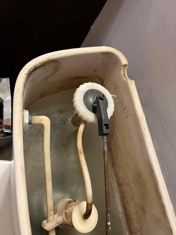 Completed plumbing membership inspection at residential property. Inspected HVAC condensate drain pan showing mineral deposits and discoloration from standing water accumulation, indicating need for routine maintenance monitoring. Examined bathroom shower system with dual showerhead configuration, chrome fixtures, and proper drainage function. UV bulb replacement was scheduled, with replacement bulb staged on parts shelf for installation during next service visit.