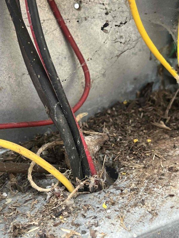 # HVAC Service Completed

Responded to a no cooling call on a residential HVAC system over 10 years old. Upon arrival, performed diagnostic inspection of the outdoor condensing unit and associated components. Examined the gas line connection at the unit, noting the flexible copper corrugated connector with brass fitting and proper thread sealant application. Inspected electrical wiring connections at the concrete pad, identifying multiple supply wires including power conductors. Observed debris accumulation around the base of the unit including leaves and organic material on the concrete pad surface.

Conducted system evaluation to determine cause of cooling failure. Cleaned debris from around unit base and electrical entry points to ensure proper airflow and prevent potential electrical issues. Verified all electrical connections were secure and free from corrosion. Tested system operation and restored cooling functionality to the unit.
