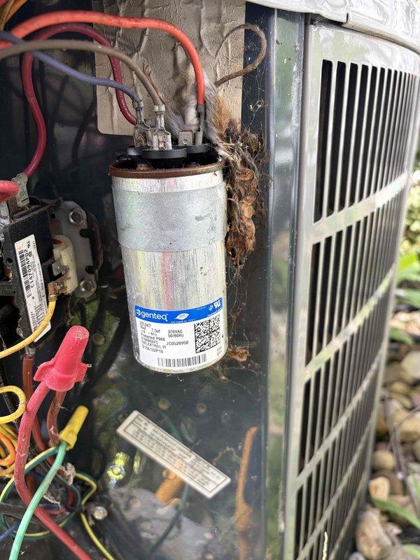 # HVAC Service Report

Responded to service call for reported furnace leak. Upon inspection, discovered unit was actually an outdoor heat pump/air conditioning condenser, not a furnace. Removed access panel to assess interior components and identify source of moisture concern. Found capacitor, contactor, and electrical connections intact but unit interior showed significant accumulation of leaves, organic debris, and dirt throughout compartment. Observed extensive rust and corrosion on metal housing, base plate, and internal surfaces indicating prolonged exposure to weather and lack of routine maintenance. Documented unit condition with photographs showing deteriorated state of components and debris accumulation. Cleaned debris from around capacitor and electrical components to prevent potential operational issues. Noted vegetation growth around unit base restricting airflow. Verified all electrical connections secure despite corrosion present. Recommended comprehensive cleaning of con