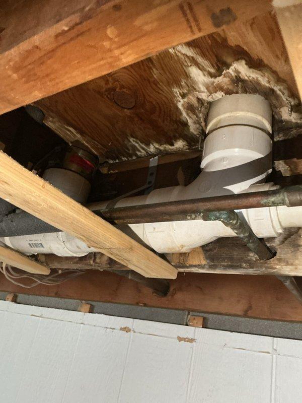 Inspected sewer line system in ceiling cavity and documented existing plumbing configuration to assess drainage concerns. Photographed white PVC drain piping showing visible sagging and improper slope, identified as a belly condition that could lead to waste accumulation and blockages. Provided customer with multiple remediation options including pipe rerouting, support installation, or full section replacement to restore proper drainage gradient and prevent future system failures.