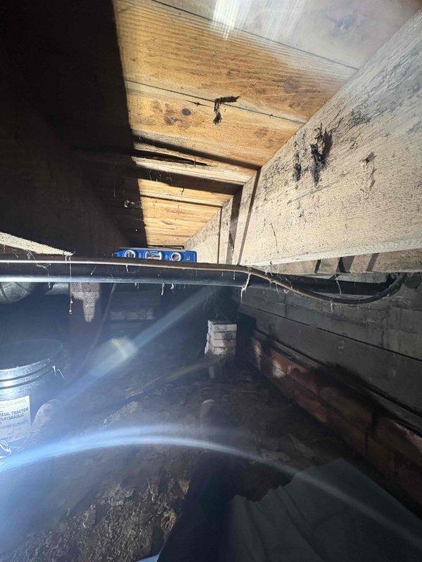 Returned to property to assess repiping requirements and prepare comprehensive estimate for complete plumbing system replacement. Conducted thorough inspection of existing plumbing infrastructure in crawlspace area, evaluating current pipe conditions, accessibility constraints, and structural considerations for proposed repipe installation. Documented existing conditions with detailed photography showing workspace layout, access points, and measurement verification using precision leveling equipment to ensure accurate planning for new piping runs and proper slope requirements for drainage systems.