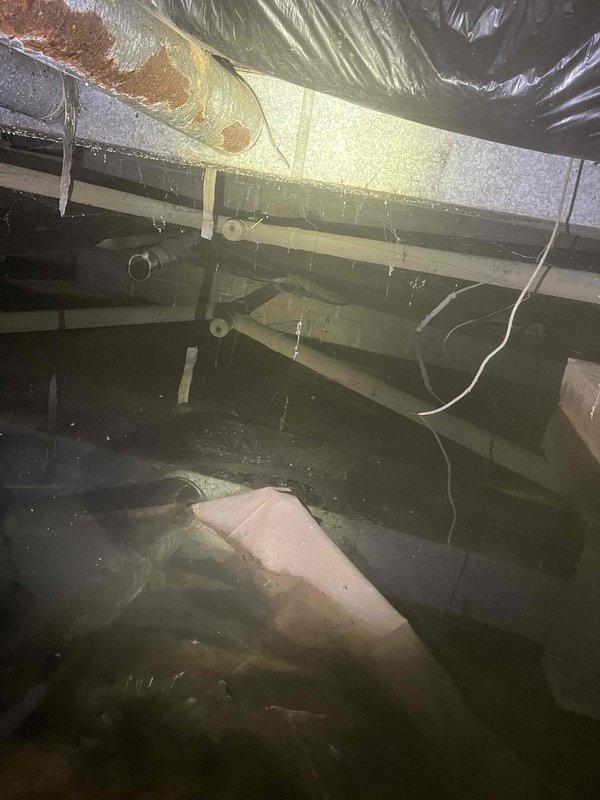 Responded to main line drain clog and successfully cleared blockage caused by deceased bird lodged in the system. Accessed crawlspace area to locate and remove obstruction from main drainage line, restoring full flow and functionality to all household drains.