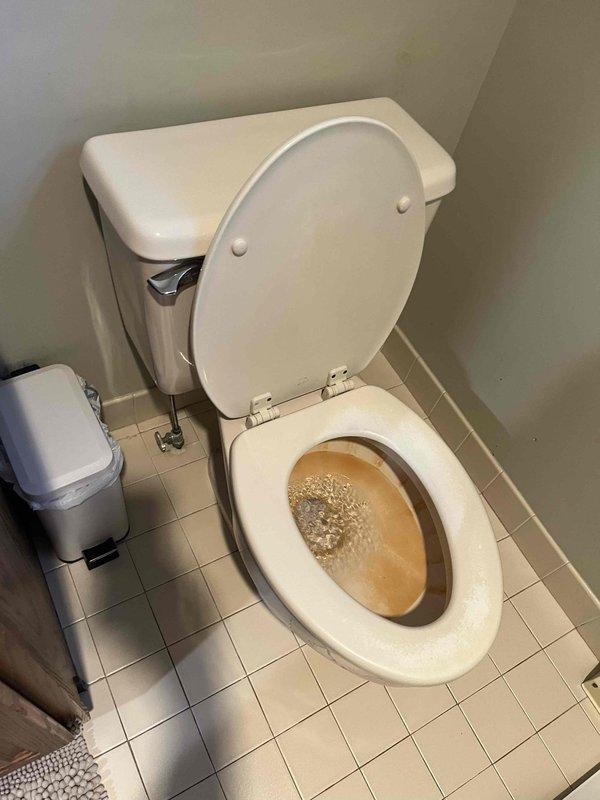 Completed plumbing membership inspection visit at residential property. Upon arrival, inspected bathroom fixtures and identified shower valve with missing handle cap/cover exposing internal mechanism, and documented toilet with discolored water containing sediment indicating potential supply line corrosion or water quality issues requiring further investigation and corrective action.