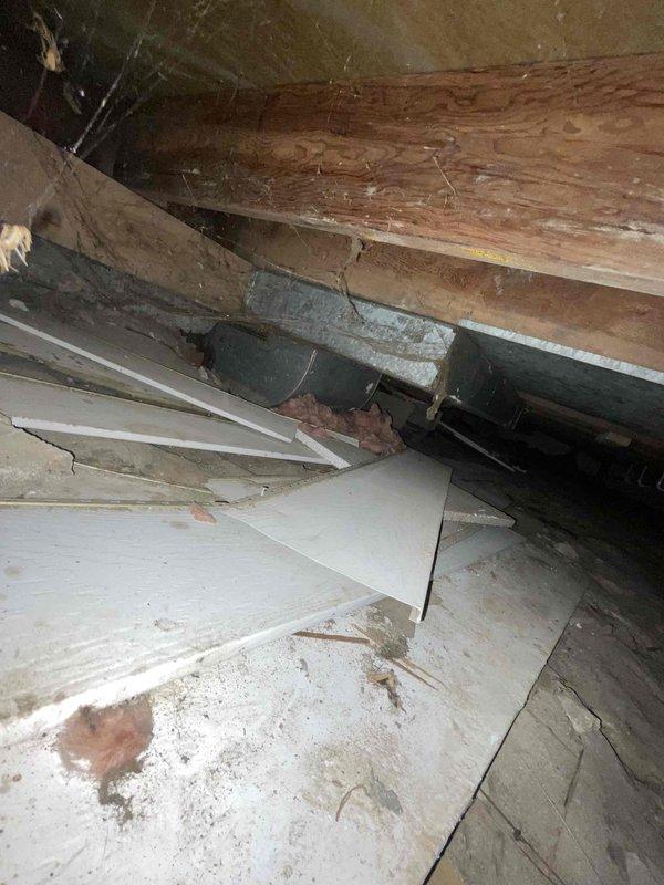 Responded to complaint of sewage odor in 70-year-old residential property. Performed inspection of crawlspace and structural areas to identify source of sewer gas infiltration. Investigation revealed deteriorated building materials, compromised foundation components, and damaged drywall panels in crawlspace area with visible signs of long-term moisture exposure and structural failure. Documented extensive water damage, rust staining on concrete surfaces, and displaced insulation materials. Identified exposed plumbing components including cylindrical pipe section within compromised structural space. Assessment indicated potential sewer line integrity issues, failed vapor barriers, and inadequate ventilation in crawlspace contributing to sewage smell penetration into living areas. Photographic documentation completed showing deteriorated wooden beams, collapsed ceiling panels, and compromised building envelope. Recommended comprehensive sewer line camera inspection to assess underground 