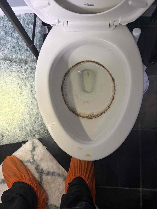 Responded to service call for toilet leak and potential pest issue. Upon inspection, found toilet bowl with significant mineral buildup and water line staining, indicating possible slow leak or condensation problem. Assessed toilet fixture and surrounding flooring for water damage and moisture intrusion that could attract insects. Examined plumbing connections, wax ring seal, and tank components for signs of active leaking. Documented conditions of bathroom fixtures including sink and faucet assembly for comprehensive assessment. Provided recommendations for toilet repair or replacement to resolve moisture issue and prevent continued pest attraction.
