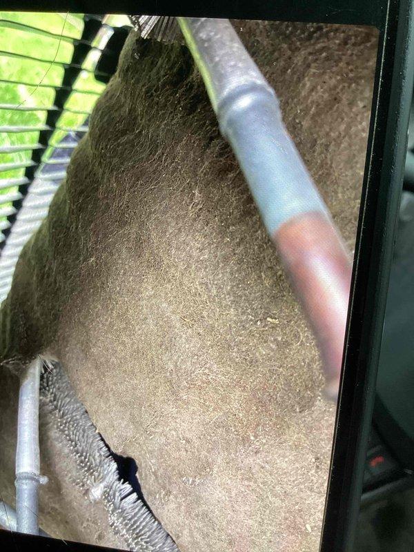 Responded to no cooling call on 6-year-old Trane system affecting entire residence. Upon inspection, found severely restricted airflow due to heavily soiled air filter completely clogged with dust and debris, along with significant dust accumulation throughout the air handler interior and on evaporator coil assembly. Replaced dirty filter, cleaned evaporator coil and condensate drain lines, and restored system to normal cooling operation.