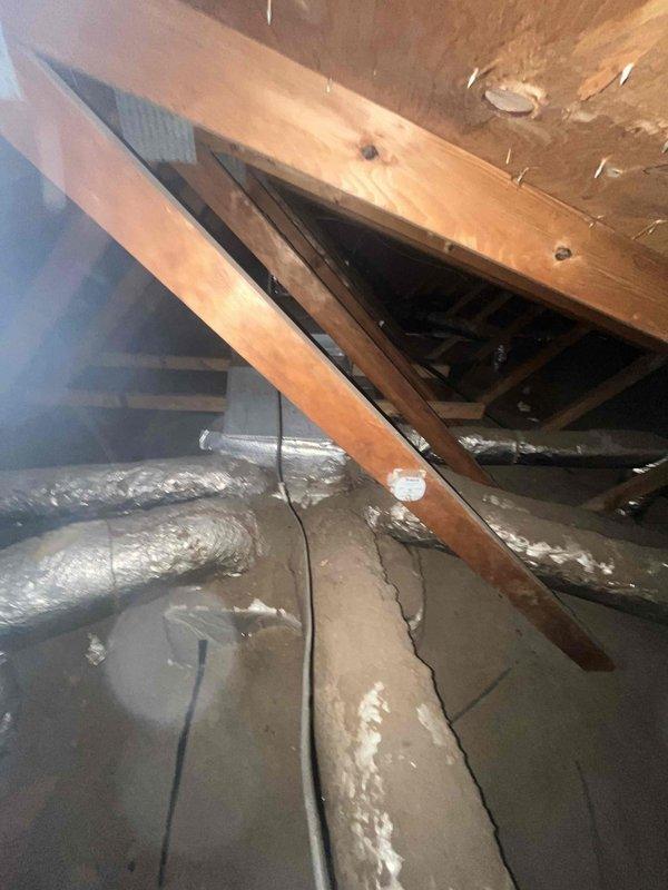 Conducted site assessment for heat pump installation feasibility in residential property. Evaluated existing attic-mounted HVAC infrastructure including flexible ductwork routing, electrical wiring configuration, and available space for equipment placement. Documented current system layout and structural conditions to determine compatibility with heat pump conversion. Noted previous electrical wire damage requiring repair from neighboring property work. Provided comprehensive estimate for complete heat pump replacement system including necessary electrical corrections and integration with existing duct infrastructure.