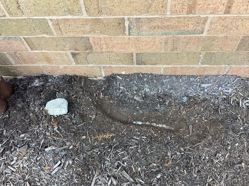 Responded to concerns regarding damp carpets and mildew odor in basement area potentially related to two-year-old furnace system. Conducted thorough inspection of furnace and surrounding mechanical equipment, including water heater and associated plumbing connections. No active water leakage detected from furnace unit or condensate drainage system. Documented existing mechanical room conditions with photographic evidence showing furnace installation, water heater, venting configurations, and exterior foundation area. Provided replacement options and recommendations for system evaluation to address moisture concerns and indoor air quality issues.