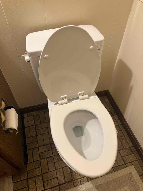 Completed callback service to install toilet seat and replace washing machine supply hose. Installed new toilet seat on existing two-piece toilet in bathroom with mosaic tile flooring. Replaced flexible braided water supply line beneath bathroom vanity cabinet, connecting to shutoff valve with proper fittings. Verified all connections for proper operation and absence of leaks. Work area left clean and fixtures functioning properly.