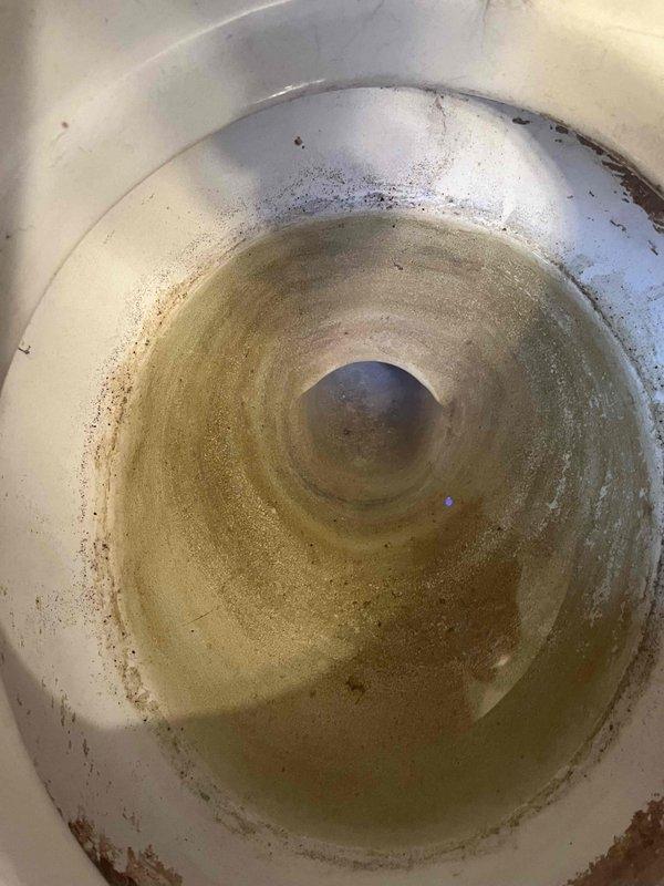 Removed existing toilet fixture showing signs of wear and staining and installed new Toto Drake elongated standard height toilet. Completed full installation including wax ring seal, floor bolts, and water supply connection, ensuring proper function and leak-free operation.