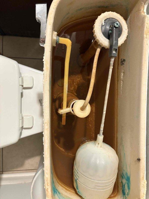 Completed UV water treatment system service by replacing the UV bulb and lens assembly on the water filtration system. Removed and reinstalled the clear quartz lens housing from the UV sterilization unit, ensuring proper seating and seal to maintain system effectiveness. System was tested and verified operational upon completion of the bulb and lens replacement.