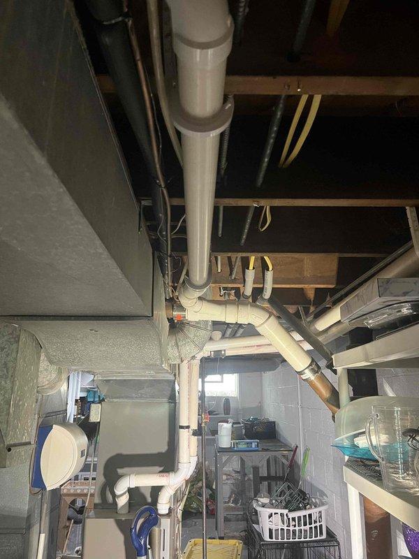 Completed repipe installation connecting branch lines back to main plumbing stack. Installed new white PVC drain and vent piping with proper securing brackets and strapping throughout basement ceiling area, including multiple horizontal branch connections with T-fittings and elbow joints. Work included routing pipes through floor framing with appropriate penetrations and clearances, alongside existing copper supply lines with shutoff valves. All connections properly secured to structural joists with code-compliant hangers and supports.