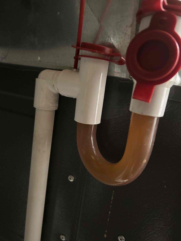 Completed routine cooling maintenance member visit on air handler system. Performed standard diagnostic measurements using digital manometer to verify proper airflow and static pressure readings across the system. All measurements were within acceptable operating parameters. Inspected condensate drain system and documented existing plumbing configuration including P-trap assembly and shut-off valve. System operating normally with no immediate service needs identified.