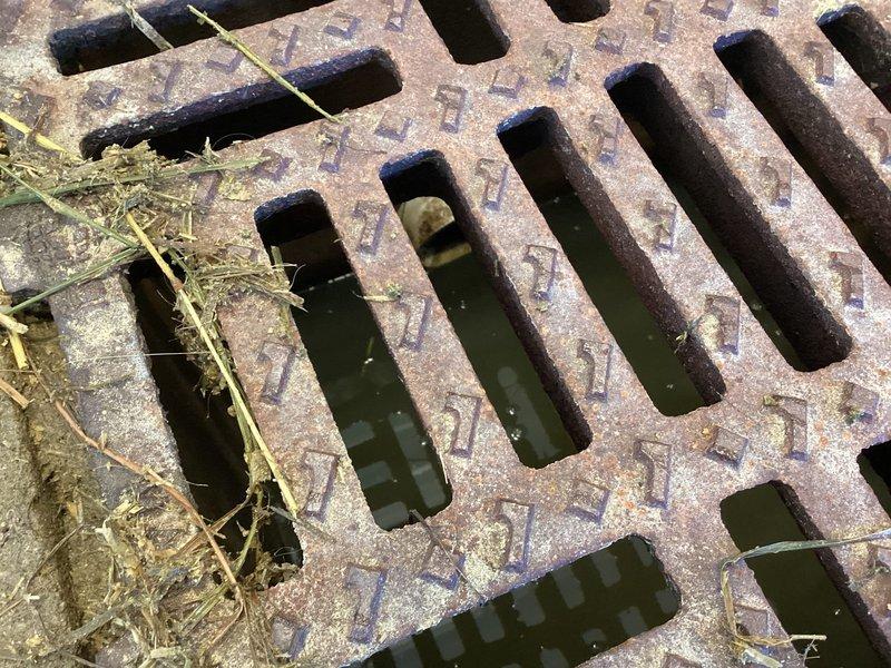 Provided estimate for Heat Recovery Ventilator (HRV) installation to improve indoor air quality. Assessed existing ventilation system and determined optimal placement for HRV unit integration. Documented current conditions and drainage requirements for proper condensate management during installation.