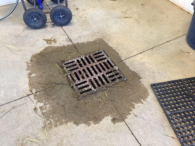 Provided estimate for Heat Recovery Ventilator (HRV) installation to improve indoor air quality. Assessed existing ventilation system and determined optimal placement for HRV unit integration. Documented current conditions and drainage requirements for proper condensate management during installation.
