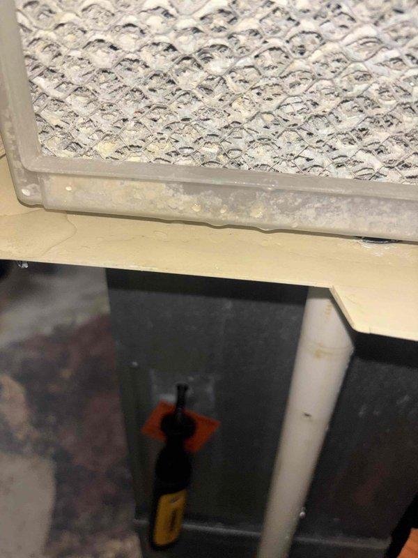 Completed heating maintenance club visit for air handler system with customer concerns regarding potential water damage. Upon inspection, discovered insect larva presence within the unit and evidence of moisture accumulation around the filter housing and plastic components. Documented conditions with photographs showing filter contamination, condensation marks on internal housing, and pest infiltration. Performed thorough system assessment and provided recommendations for addressing moisture issues and preventing future pest entry.