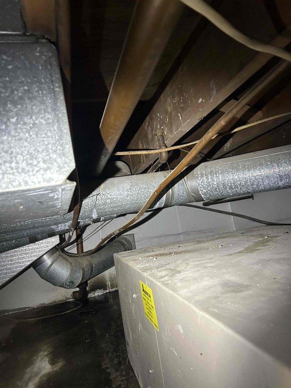 Responded to service call for furnace producing whistling noise. Upon inspection, identified excessive condensation on supply ductwork in crawl space and verified HVAC system operation. Documented equipment conditions with photos showing moisture accumulation on insulated ductwork, which can contribute to airflow restrictions and unusual sounds when air passes through affected areas.