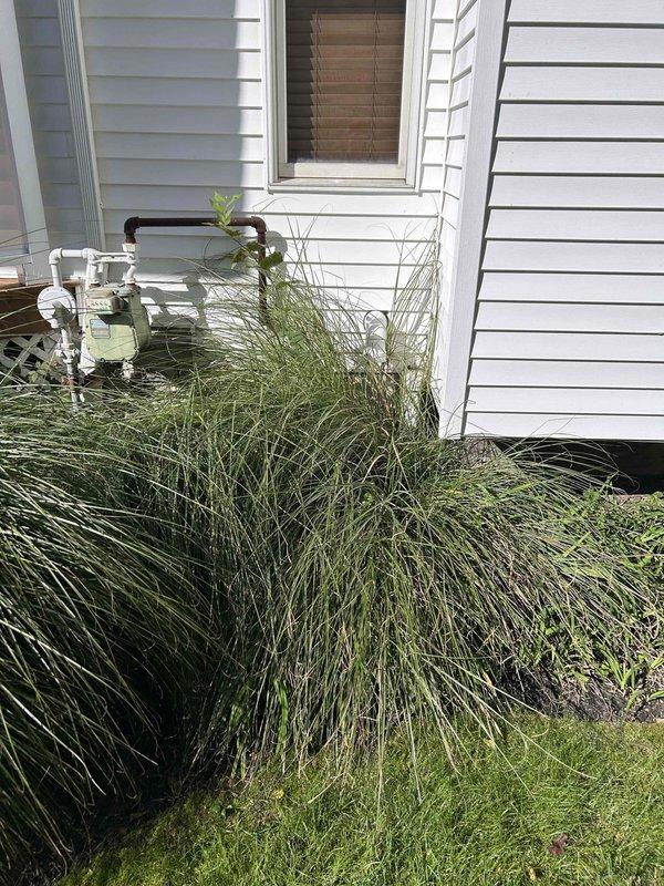 Performed camera inspection of downspout drainage system to assess interior condition and identify potential blockages or structural issues. Deployed specialized drain camera equipment to evaluate the underground drainage lines and determine proper water flow from the gutter system to the discharge point.