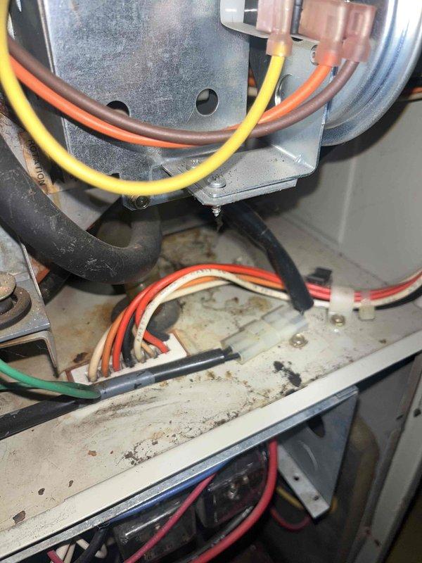 Completed comprehensive furnace tune-up on air handler unit, including inspection of blower motor assembly, electrical connections, and wiring harnesses. All components were examined for proper operation, connections were verified secure, and system was found to be functioning within normal parameters.