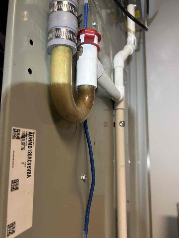 Responded to no heat call on Ruud furnace system. Upon arrival, inspected unit and verified all mechanical components, condensate drainage system, and electrical connections were functioning properly. Customer concern appeared related to thermostat app connectivity rather than actual heating malfunction. Documented existing installation conditions including condensate trap assembly and internal wiring harness. System operational at time of inspection with no heating deficiencies found.