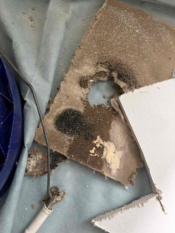 Responded to callback for water saturation in laundry room floor traced to outdoor spigot leak within wall cavity. Replaced defective hose bib assembly and verified proper installation with no active leaks detected at time of inspection. Documented attic/crawl space conditions and interior mechanical equipment showing moisture damage and deteriorated insulation materials for customer awareness.