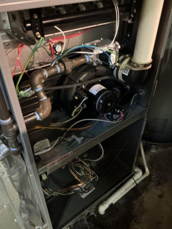 Performed routine tune-up on a 4-year-old gas furnace with no reported issues. Inspected the burner assembly, heat exchanger, draft inducer motor and blower, wiring harness connections, gas piping, and PVC exhaust and condensate drain lines, and confirmed the unit was operating properly. Noted dust and debris buildup inside the cabinet and staining on the floor beneath the unit, and recommended monitoring the condensate drain line for leaks.