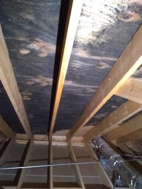 Glenview, IL - Cleaning attic mold, this is a photo before we started. Glenview, IL - Cleaning attic mold, this is a photo before we started.