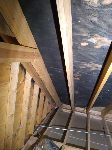 Glenview, IL - Attic mold needs to be removed Glenview, IL - Attic mold needs to be removed
