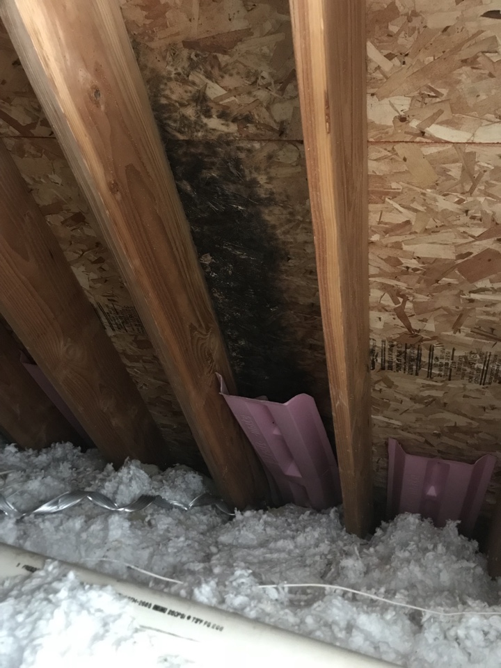 Glenview, IL - Mold Remediation in the attic Glenview, IL - Mold Remediation in the attic
