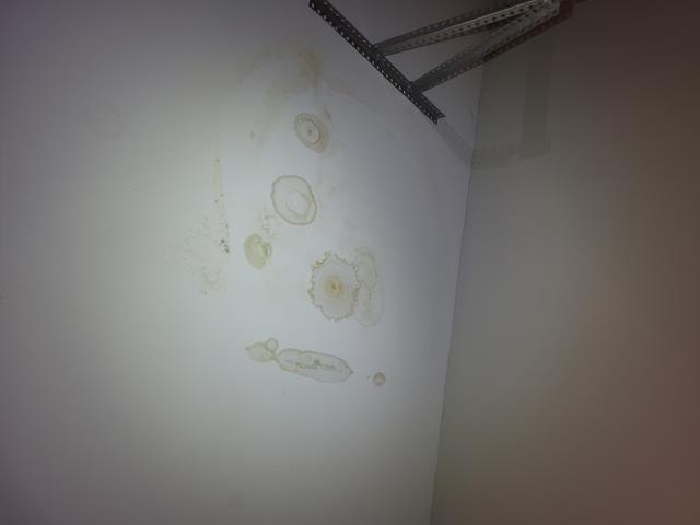 Responded to home for customer experiencing brown wet spots on the ceiling below the shower. After evaluation, we found the leak is coming from the tile when customer runs any water. Customer is going to contact a tile and remediation company to rectify the situation. 