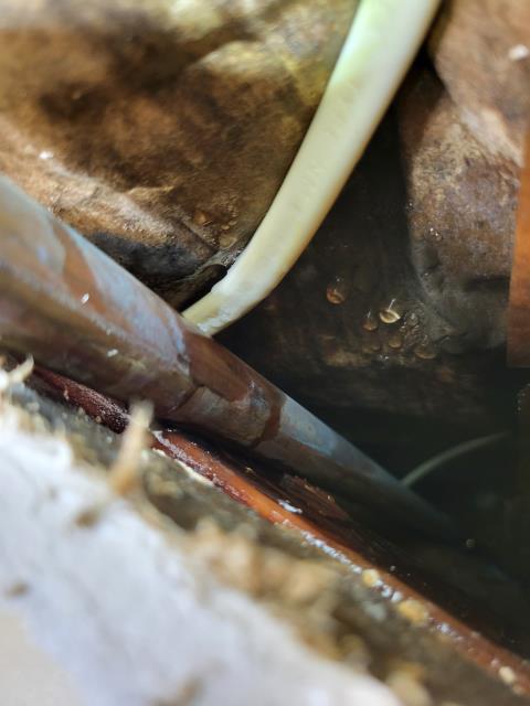 Responded to customer's home after customer noticed wet areas around the floor in the kitchen and both hallway bathroom and master bathroom. After evaluation, we found the copper water line in the ceiling above this area is leaking in several places. We cut a small section of the sheetrock to gain access to the water line. Once accessible, we determined the copper water line is leaking in several places. We removed the damaged section of copper pipe and installed a new 8' section of pipe to resolve the issue. Responded to customer's home after customer noticed wet areas around the floor in the kitchen and both hallway bathroom and master bathroom. After evaluation, we found the copper water line in the ceiling above this area is leaking in several places. We cut a small section of the sheetrock to gain access to the water line. Once accessible, we determined the copper water line is leaking in several places. We removed the damaged section of copper pipe and installed a new 8' section of pipe to resolve the issue.