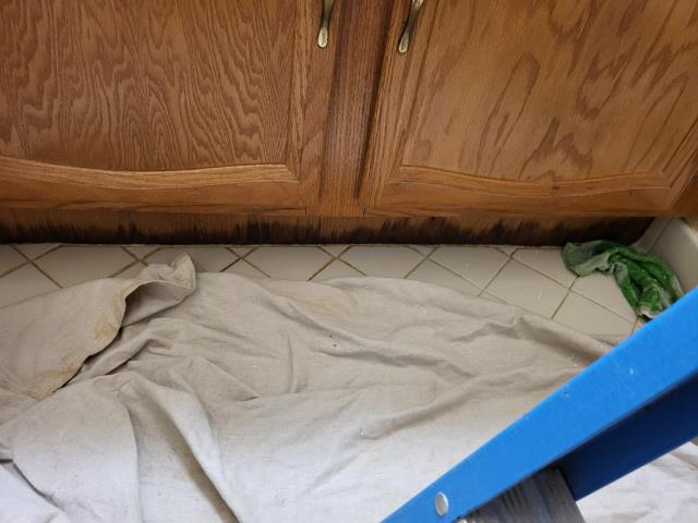 Responded to customer's home after customer noticed wet areas around the floor in the kitchen and both hallway bathroom and master bathroom. After evaluation, we found the copper water line in the ceiling above this area is leaking in several places. We cut a small section of the sheetrock to gain access to the water line. Once accessible, we determined the copper water line is leaking in several places. We removed the damaged section of copper pipe and installed a new 8' section of pipe to resolve the issue. Responded to customer's home after customer noticed wet areas around the floor in the kitchen and both hallway bathroom and master bathroom. After evaluation, we found the copper water line in the ceiling above this area is leaking in several places. We cut a small section of the sheetrock to gain access to the water line. Once accessible, we determined the copper water line is leaking in several places. We removed the damaged section of copper pipe and installed a new 8' section of pipe to resolve the issue.