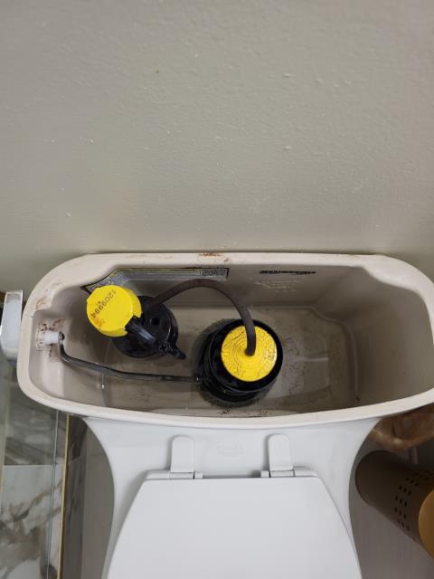 We came out to our customers home to replace the fill valve on the main floor toilet due to signs of wear and inconsistent water filling. We removed the old valve and installed a new, high quality replacement to restore proper function. After installation, we tested the connections to ensure there were no leaks.