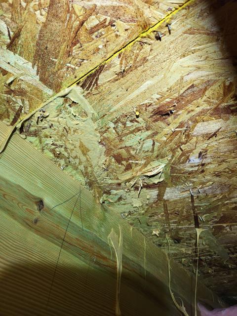 Our customer reached out to us after they noticed water dripping into the basement ceiling below the kitchen area. After evaluation, we determined there was no plumbing located above the leak in that section of the kitchen. Upon further investigation, we discovered the leak was caused from a watermelon that had gone bad and had started leaking fluids through the kitchen floor and into the basement. 
 Our customer reached out to us after they noticed water dripping into the basement ceiling below the kitchen area. After evaluation, we determined there was no plumbing located above the leak in that section of the kitchen. Upon further investigation, we discovered the leak was caused from a watermelon that had gone bad and had started leaking fluids through the kitchen floor and into the basement.