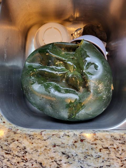 Our customer reached out to us after they noticed water dripping into the basement ceiling below the kitchen area. After evaluation, we determined there was no plumbing located above the leak in that section of the kitchen. Upon further investigation, we discovered the leak was caused from a watermelon that had gone bad and had started leaking fluids through the kitchen floor and into the basement. 
 Our customer reached out to us after they noticed water dripping into the basement ceiling below the kitchen area. After evaluation, we determined there was no plumbing located above the leak in that section of the kitchen. Upon further investigation, we discovered the leak was caused from a watermelon that had gone bad and had started leaking fluids through the kitchen floor and into the basement.