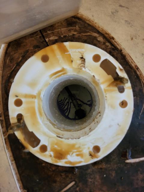 We responded to our customer due to both toilets in the classroom being backed up. Once onsite, to properly access the drain line and clear the blockage, we removed both toilets from their bases. Using drain cleaning tool, we cleared the obstruction and restored proper flow through the waste line. Once the blockage was fully cleared, we reinstalled both toilets with new wax seals to ensure a proper connection. After reinstallation, we performed a test for leak free operation.
 We responded to our customer due to both toilets in the classroom being backed up. Once onsite, to properly access the drain line and clear the blockage, we removed both toilets from their bases. Using drain cleaning tool, we cleared the obstruction and restored proper flow through the waste line. Once the blockage was fully cleared, we reinstalled both toilets with new wax seals to ensure a proper connection. After reinstallation, we performed a test for leak free operation.