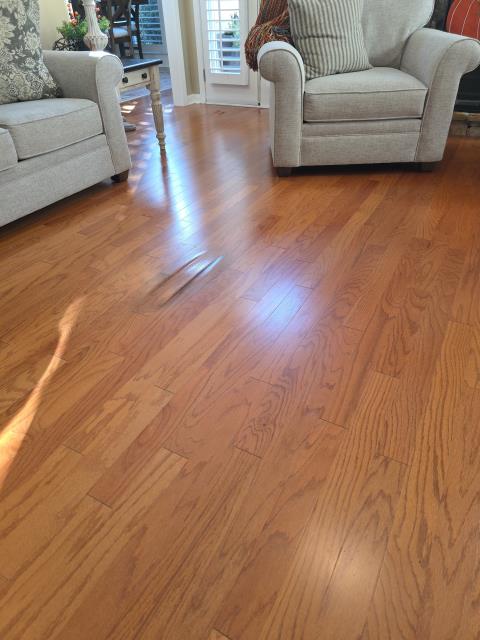 Marietta, GA - Our customer reached out due to noticing their floor beginning to buckle, which can often be sign of a possible slab leak. After inspection, we determined moisture was present under the floor but the exact source could not be confirmed. We advised the homeowner to schedule true leak detection services to confirm whether the issue is due to an underground slab leak or another source of moisture intrusion. Once confirmed, we'll proceed with slab leak repair.
Marietta, GA - Our customer reached out due to noticing their floor beginning to buckle, which can often be sign of a possible slab leak. After inspection, we determined moisture was present under the floor but the exact source could not be confirmed. We advised the homeowner to schedule true leak detection services to confirm whether the issue is due to an underground slab leak or another source of moisture intrusion. Once confirmed, we'll proceed with slab leak repair.