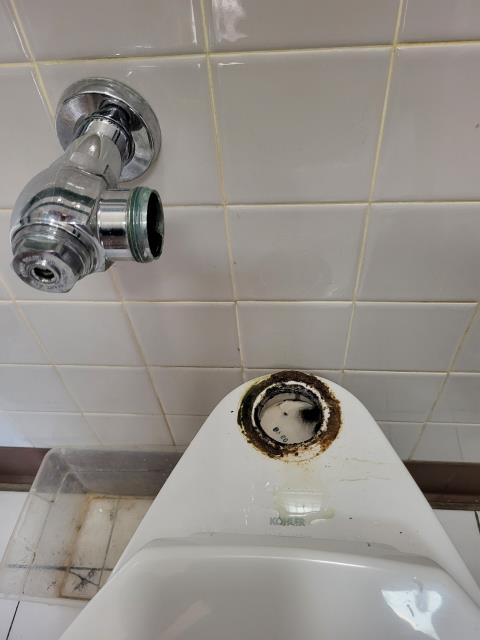 We responded to complete a full rebuild of the toilets flush system. Once on site, we replaced the entire flush valve assembly, including the toilet spud and shut off valve, to ensure reliable operation and prevent future leaks. Once all new components were installed, we turned the water back on and thoroughly tested the toilet for leak free operation. 


