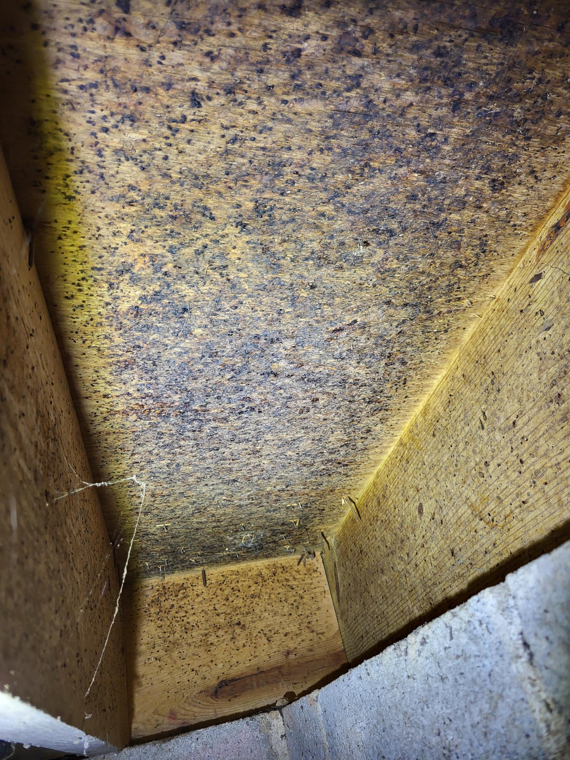 We responded to our customer after they noticed water leaking from the hallway toilet. Upon inspection, we found that the leak was coming from the connection between the tank and the bowl. The tank to bowl bolts had loosened over time, allowing water to escape during flushing. We drained the toilet, tightened the bolts, and ensured the rubber gaskets were seated properly to create a watertight seal. After completing the adjustment, we refilled the tank and tested the toilet for leaks. 
