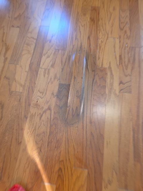 Our customer reached out due to noticing their floor beginning to buckle, which can often be sign of a possible slab leak. After inspection, we determined moisture was present under the floor but the exact source could not be confirmed. We advised the homeowner to schedule true leak detection services to confirm whether the issue is due to an underground slab leak or another source of moisture intrusion. Once confirmed, we'll proceed with slab leak repair. 
