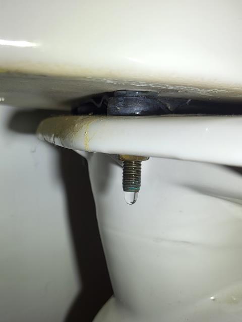 We responded to our customer after they noticed water leaking from the hallway toilet. Upon inspection, we found that the leak was coming from the connection between the tank and the bowl. The tank to bowl bolts had loosened over time, allowing water to escape during flushing. We drained the toilet, tightened the bolts, and ensured the rubber gaskets were seated properly to create a watertight seal. After completing the adjustment, we refilled the tank and tested the toilet for leaks. 
