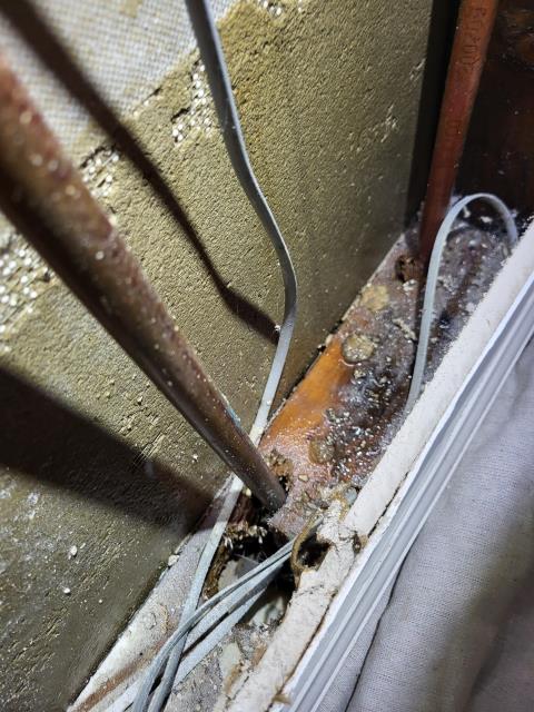 We responded to our customer due water being discovered on the carpet directly behind the shower wall. Once on site, after inspecting the plumbing behind the shower trim, we found that the shower cartridge is failing and allowing water to leak constantly inside the wall cavity. This type of internal leak can cause damage to the drywall, framing, and flooring if left unaddressed. To help prevent any further moisture intrusion, we will install shut off valves on the hot and cold supply lines for the shower. We have ordered a new shower cartridge and will return to finish work.



