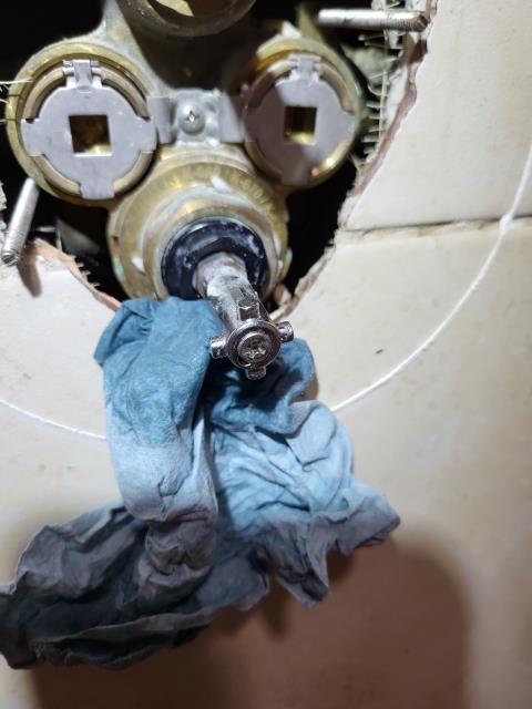 We responded to our customer due water being discovered on the carpet directly behind the shower wall. Once on site, after inspecting the plumbing behind the shower trim, we found that the shower cartridge is failing and allowing water to leak constantly inside the wall cavity. This type of internal leak can cause damage to the drywall, framing, and flooring if left unaddressed. To help prevent any further moisture intrusion, we will install shut off valves on the hot and cold supply lines for the shower. We have ordered a new shower cartridge and will return to finish work.



