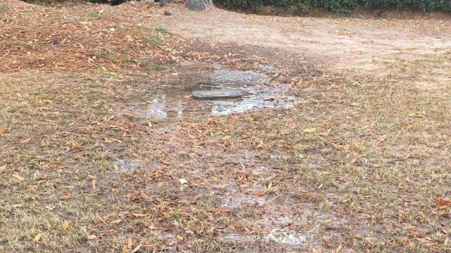 We were called out to inspect a water leak at the meter and found the issue was coming from a damaged copper water line connected to the service. Upon arrival, after exposing the area, we located the compromised section of copper piping that was allowing water to escape. We cut out the damaged portion and installed a new section of copper pipe, securing all the fittings and connections to ensure a long lasting repair. Once the repair was complete, we restored water pressure and tested the line for leaks at the meter and along the nearby service line.