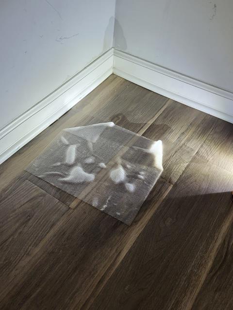 We responded to our customer after reports of water appearing on the floor and concerns of a possible hidden plumbing leak. Upon arrival, we performed a thorough inspection and cut sections of the sheetrock to access the affected area and check visible water lines. During our evaluation, we determined that the active water leak is originating from underneath the concrete slab  and is surfacing through the pipe penetrations. Due to the location of the leak, this is classified as a slab leak and could not be visually located without specialized equipment. At this time, professional leak detection is required to accurately pinpoint the source of the leak. Once leak detection is completed, we will be able to provide an accurate estimate repair.   