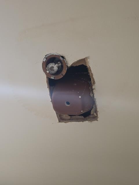 We responded to our customers Country Club after they reported ongoing sewer odors and concerns about drain traps drying out in the women's restroom. During our inspection, we determined the trap primer located in the ceiling had failed, which prevented water from being supplied to the floor drain trap. When trap primers stop working, sewer gases can escape into the space, especially in restrooms that are not used frequently. To access the failed component, we cut a controlled section of the sheetrock in the ceiling. We then removed the defective trap primer and installed a new replacement unit to restore proper operation. After installation, we confirmed the primer was functioning correctly and maintaining the trap seal. 