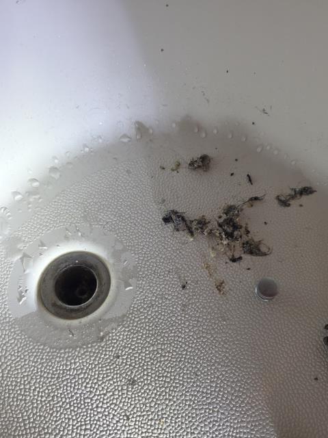 We responded to our customer in Dallas, GA after they reported a tub and bathroom sink stoppage. Upon inspection, we found hair blockages in both drains causing slow drainage. We removed the buildup to restore proper flow. After clearing the drains, we ran water to test and confirm everything was draining properly. Both fixtures are now operating normally.